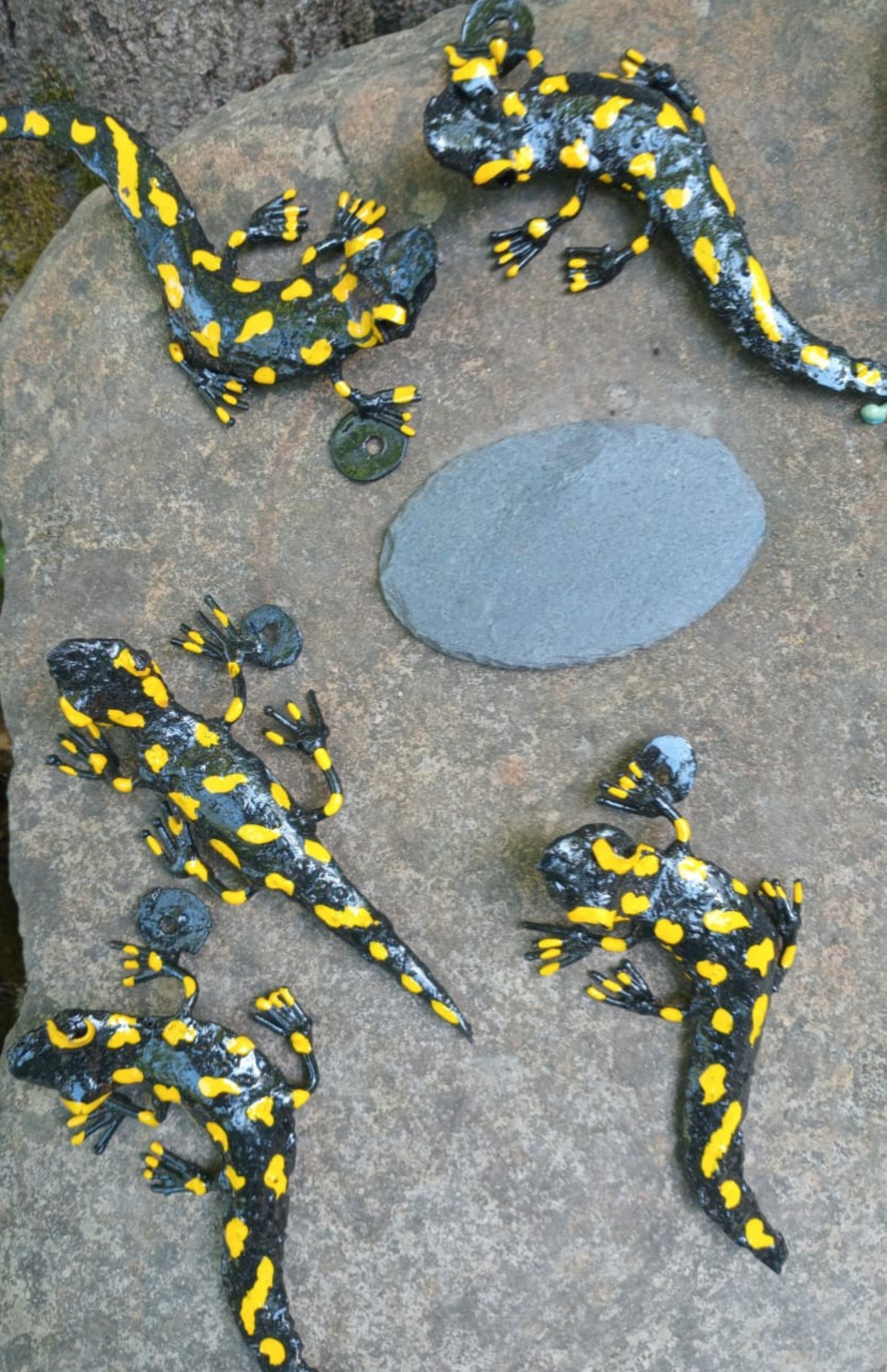 Gekkos lounging in the sun